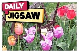 shockwave daily crossword puzzle.
